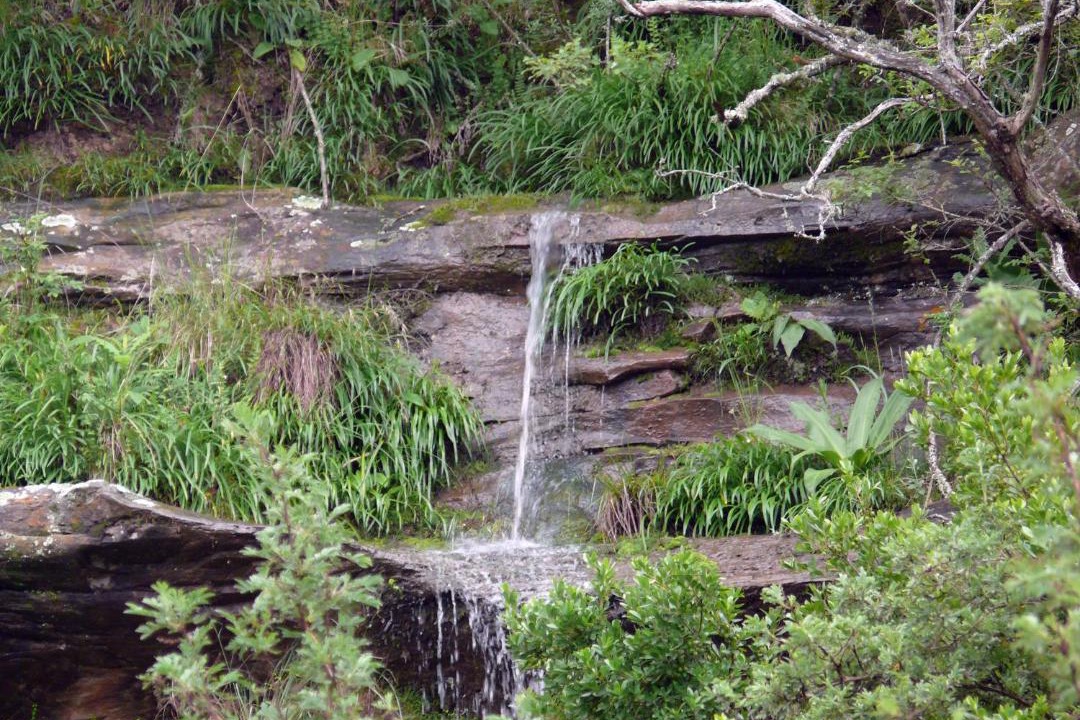 Photo of Others in Midlands Meander