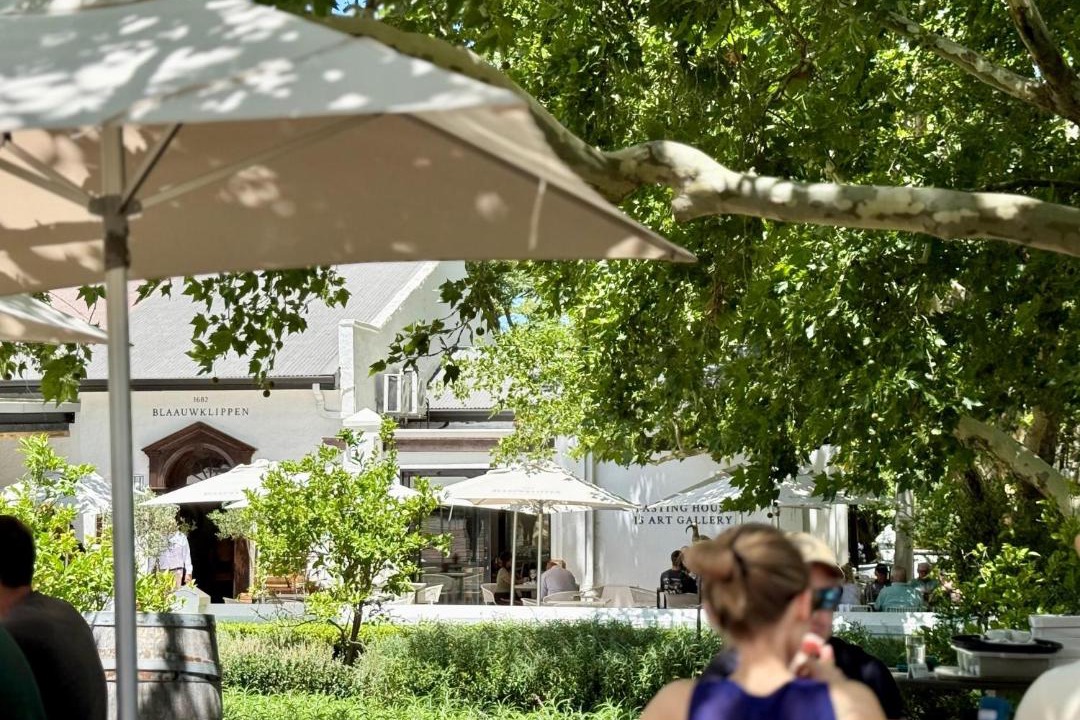 Photo of Others in Stellenbosch