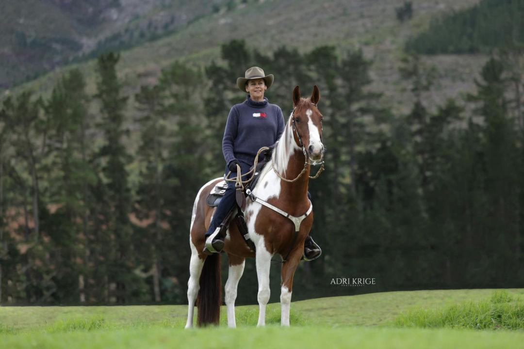 Photo of Others in Franschhoek