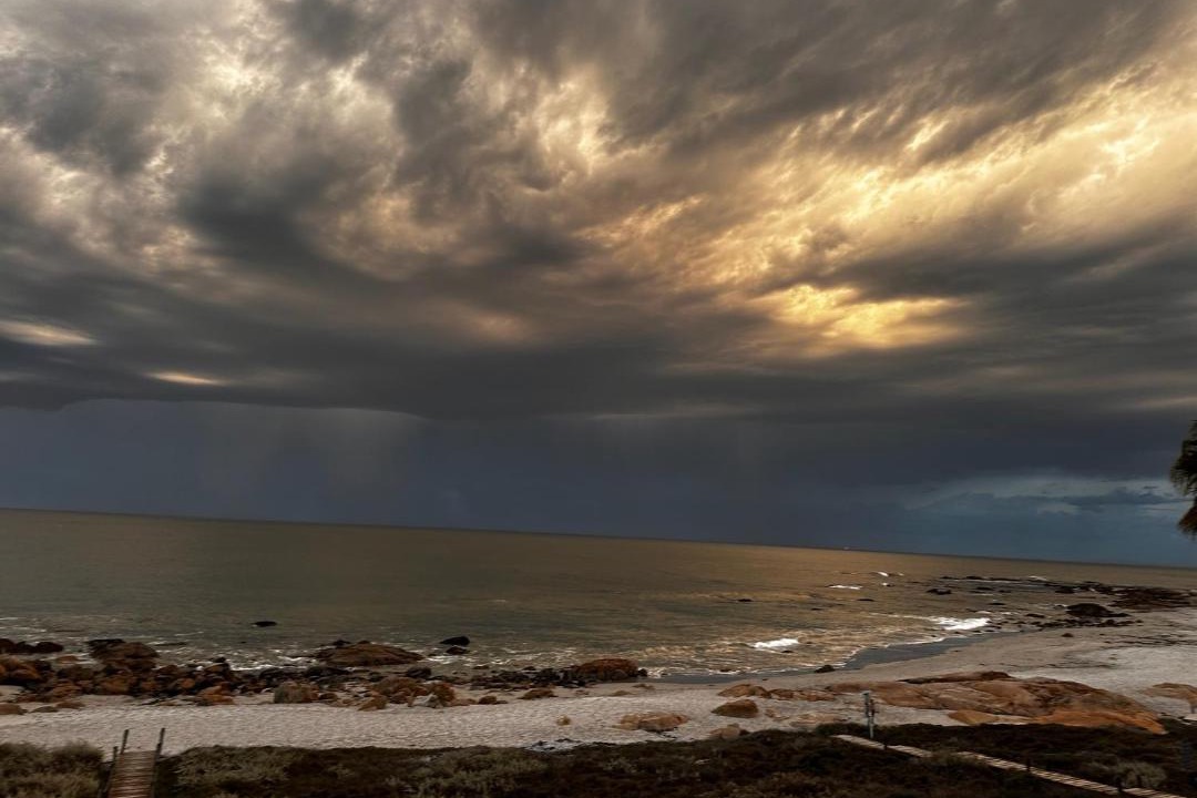 Photo of Others in Shelley Point