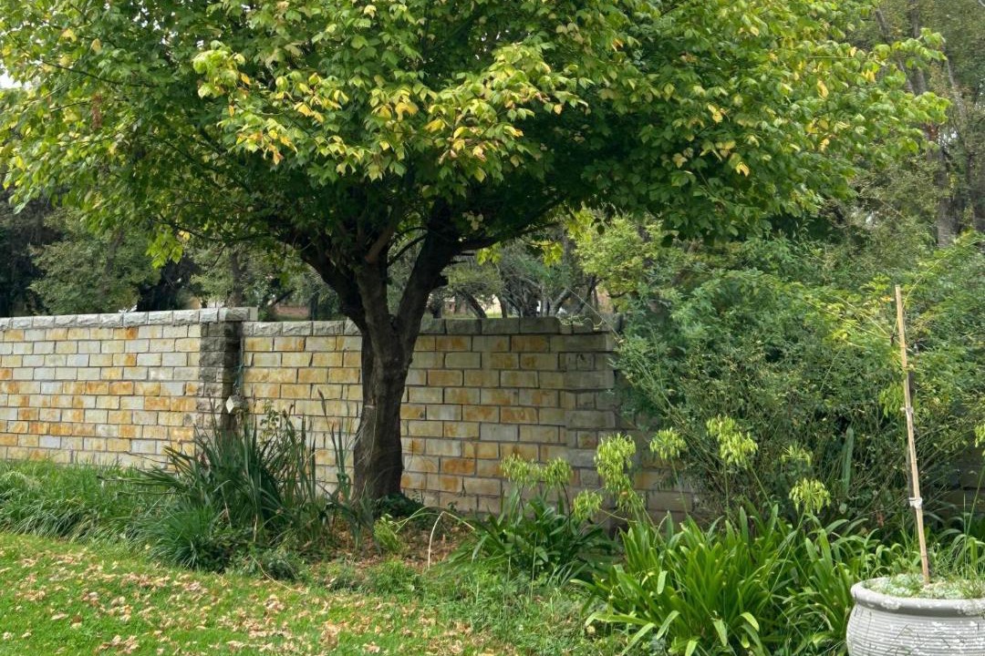 Photo of Others in Ficksburg