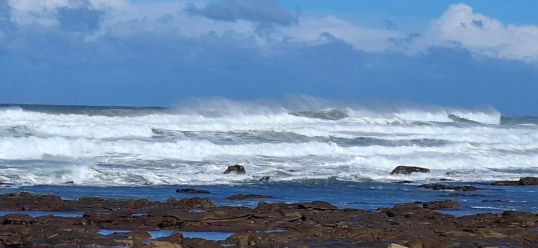 Photo of Others in Amatola Coastal
