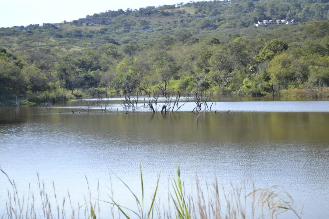 Photo of Others in White River