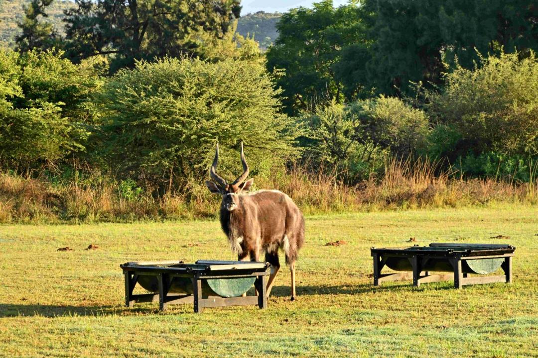 Photo of Others in Rustenburg