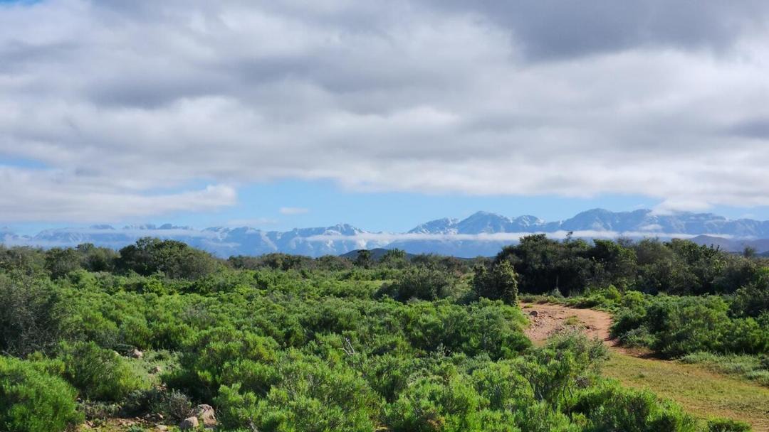 Photo of Others in Oudtshoorn