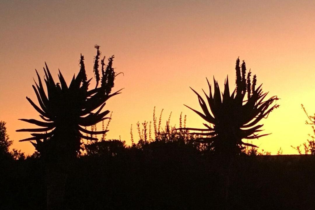 Photo of Others in Oudtshoorn