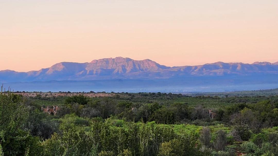 Photo of Others in Oudtshoorn