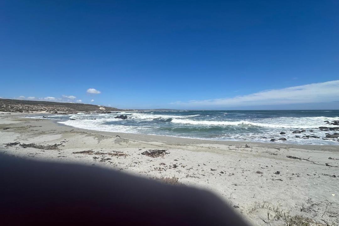 Photo of Others in Shelley Point