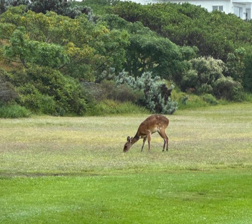 Photo of Others in Saint Francis Bay