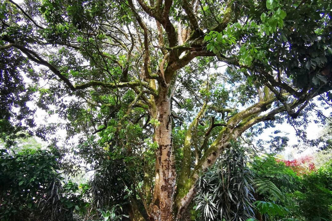 Photo of Others in Kloof