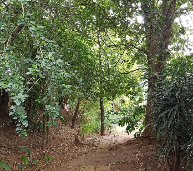 Photo of Others in Kloof