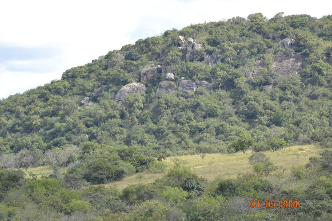 Photo of Others in White River