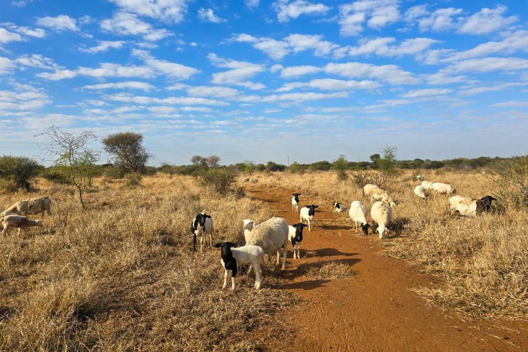 Photo of Others in Northam