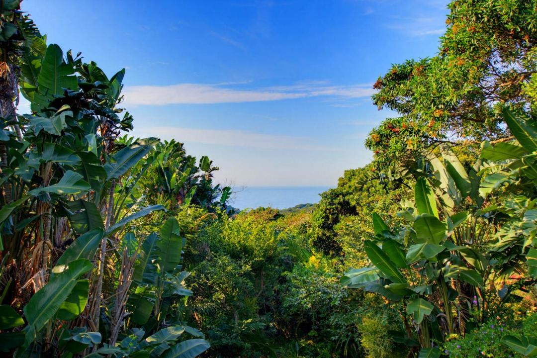 Photo of Others in Zimbali Coastal Estate