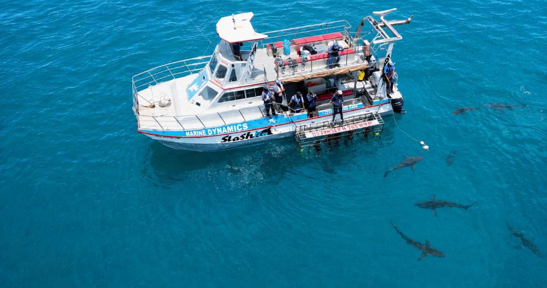 Photo of Others in Kleinbaai