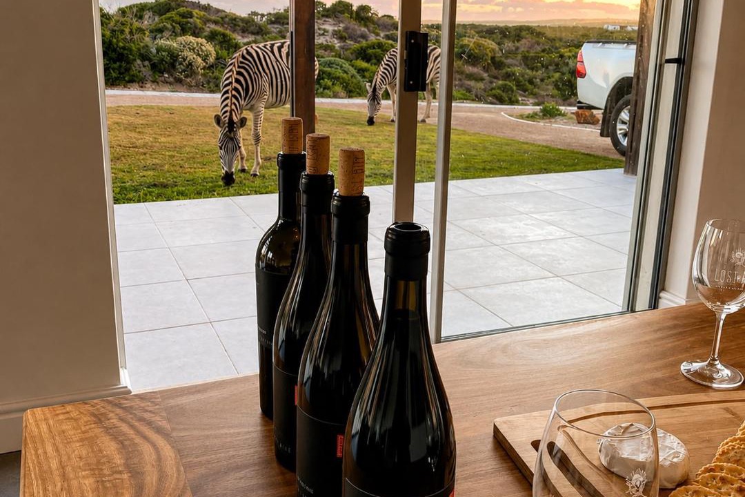 Photo of Others in Kleinbaai