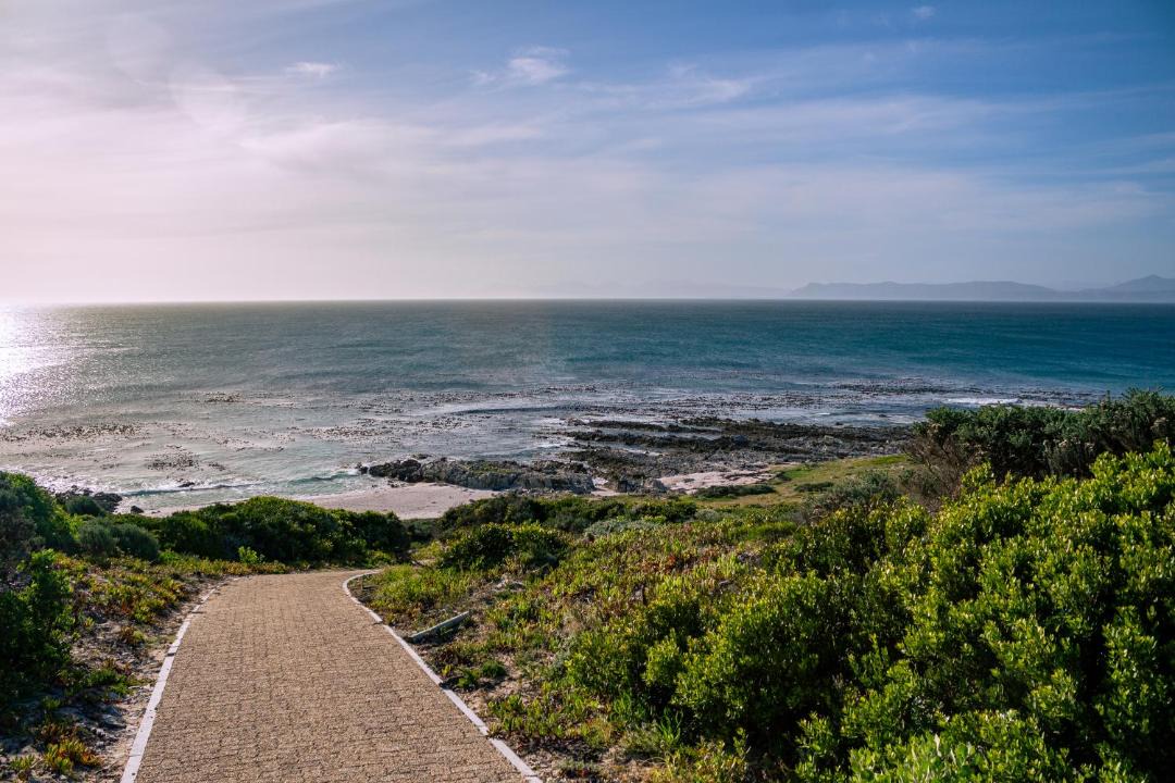 Photo of Others in Gansbaai