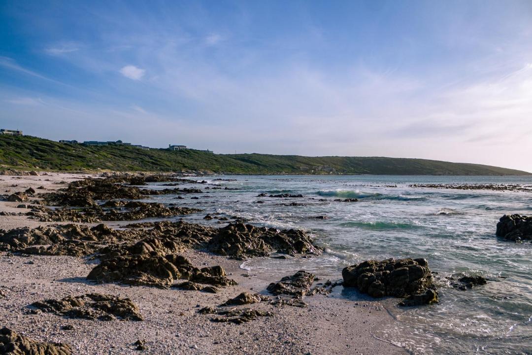 Photo of Others in Gansbaai