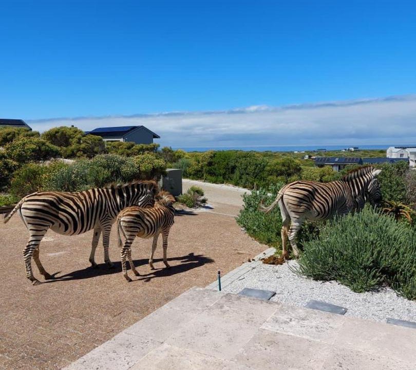 Photo of Others in Gansbaai