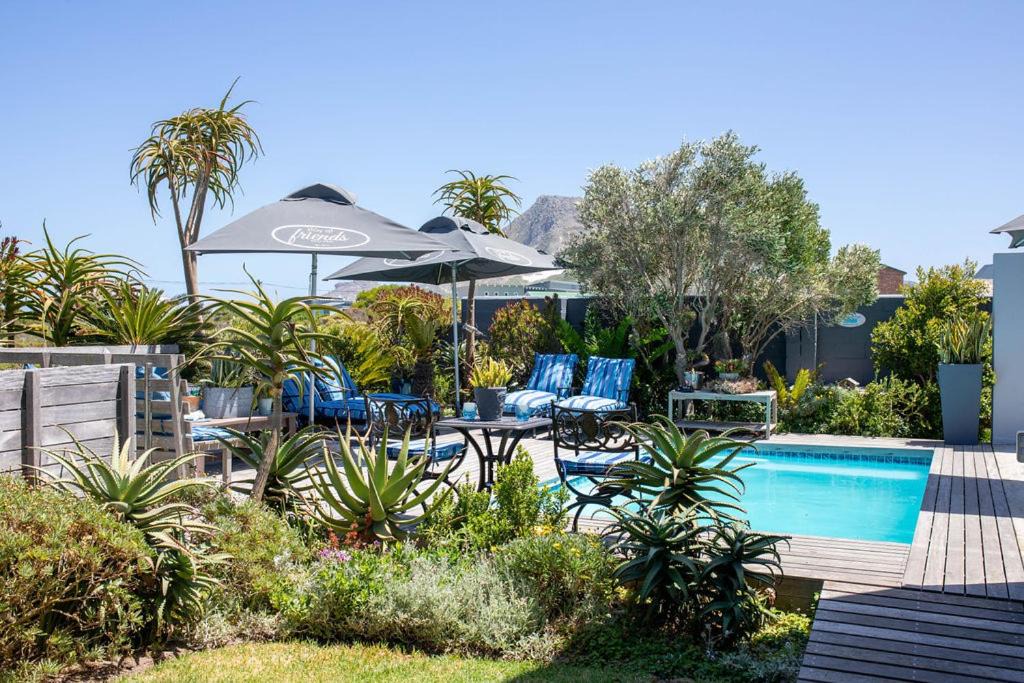 Photo of Others in Betty's Bay