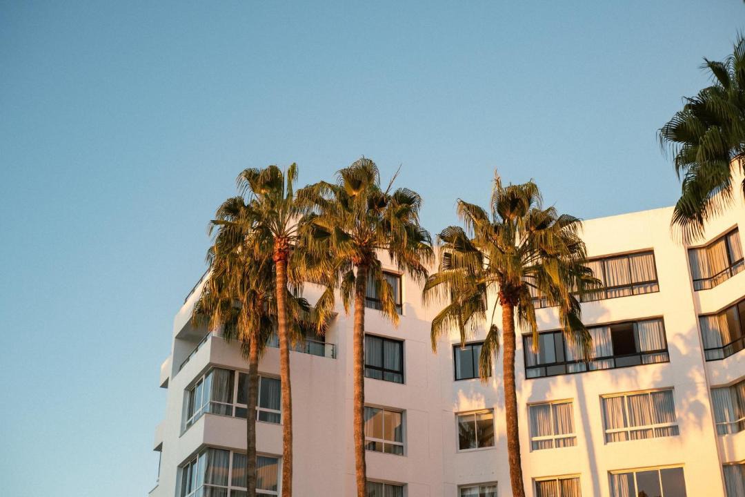 Photo of Others in Sea Point