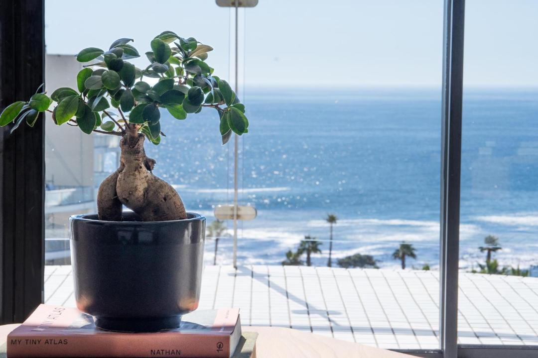 Photo of Others in Sea Point