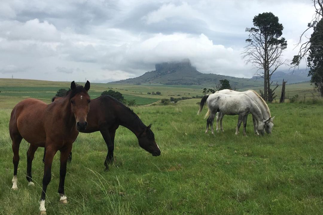 Photo of Others in Maluti a Phofung