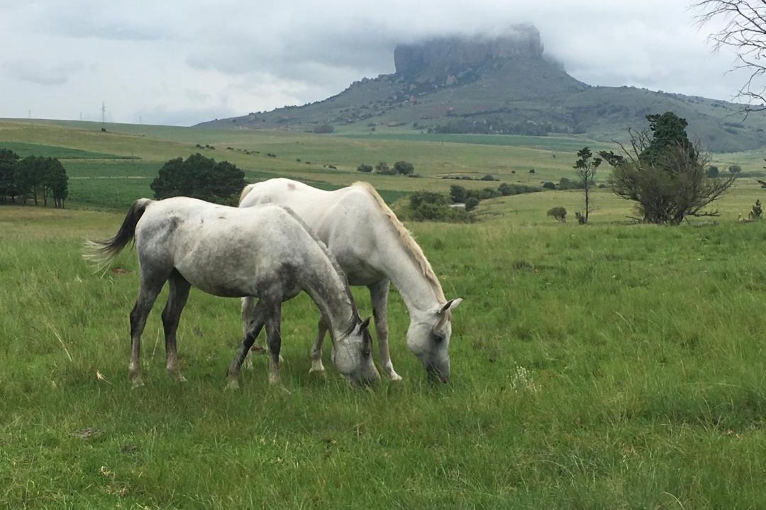 Photo of Others in Maluti a Phofung