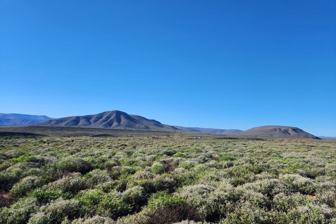 Photo of Others in Karoo Hoogland
