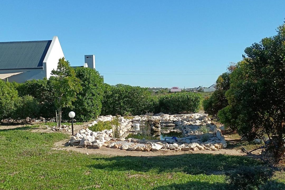 Photo of Others in Langebaan