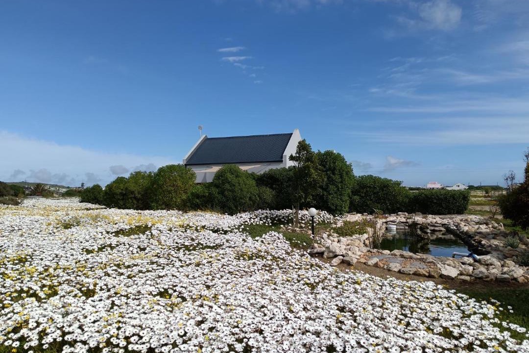 Photo of Others in Langebaan