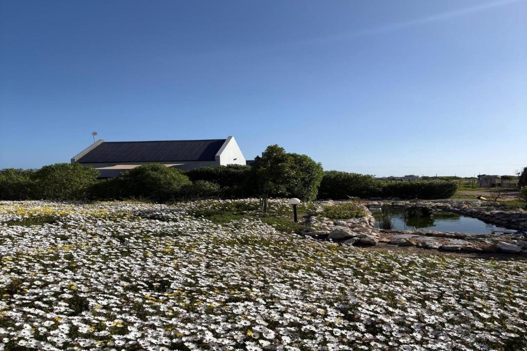Photo of Others in Langebaan