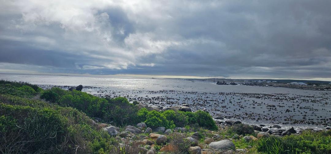 Photo of Others in Jacobs Bay