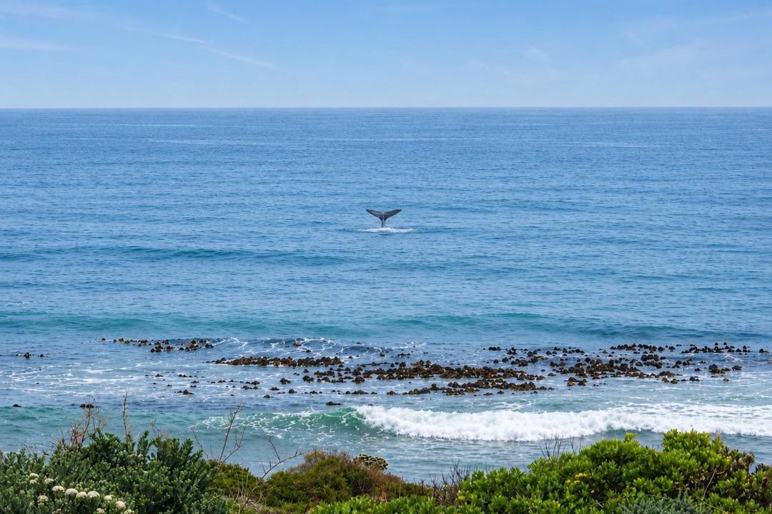 Photo of Others in Pearly Beach