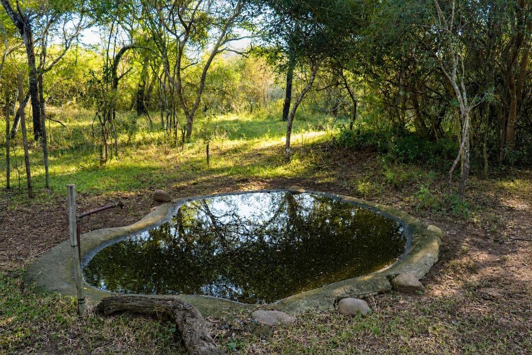 Photo of Others in Hluhluwe