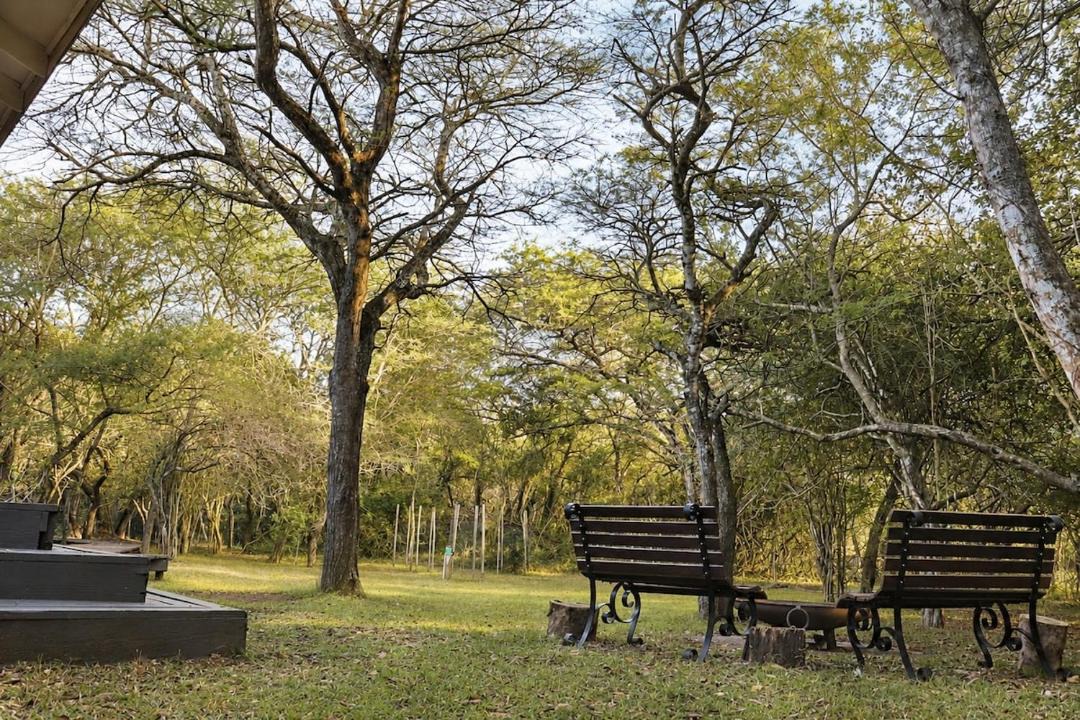 Photo of Others in Hluhluwe