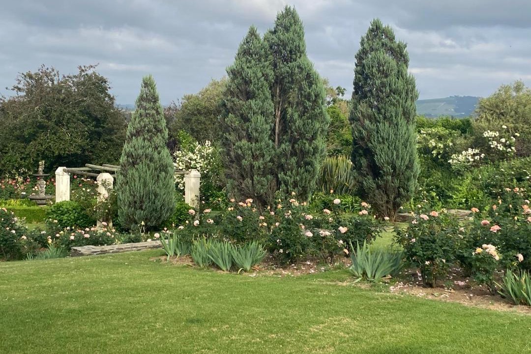 Photo of Others in Paarl