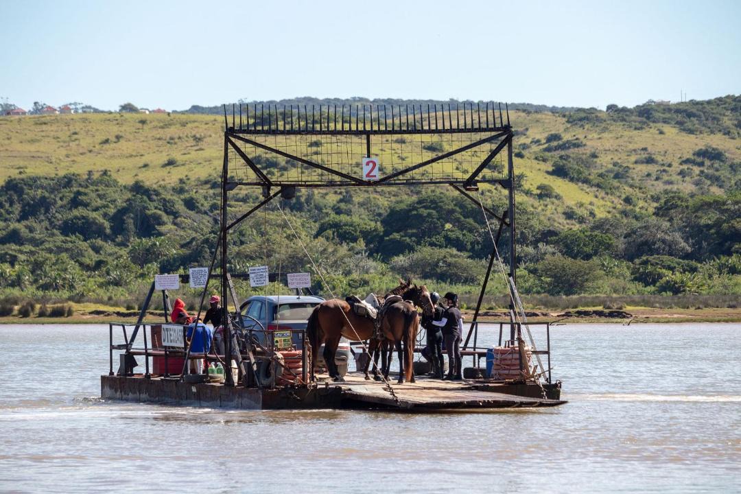 Photo of Others in Kei Mouth
