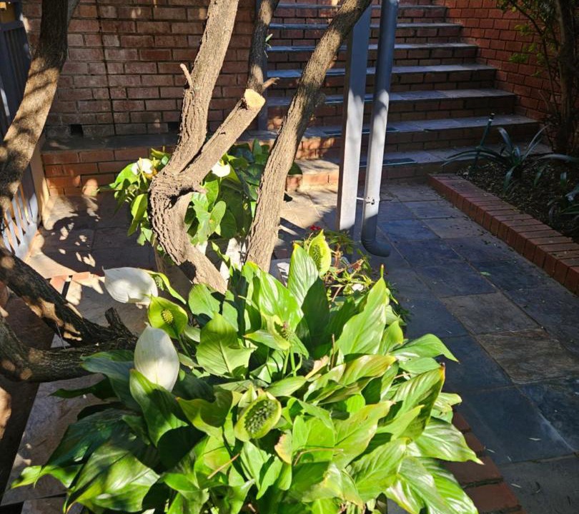 Photo of Others in Pretoria