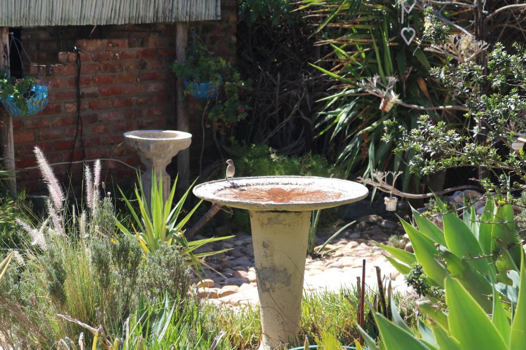 Photo of Others in De Hoop