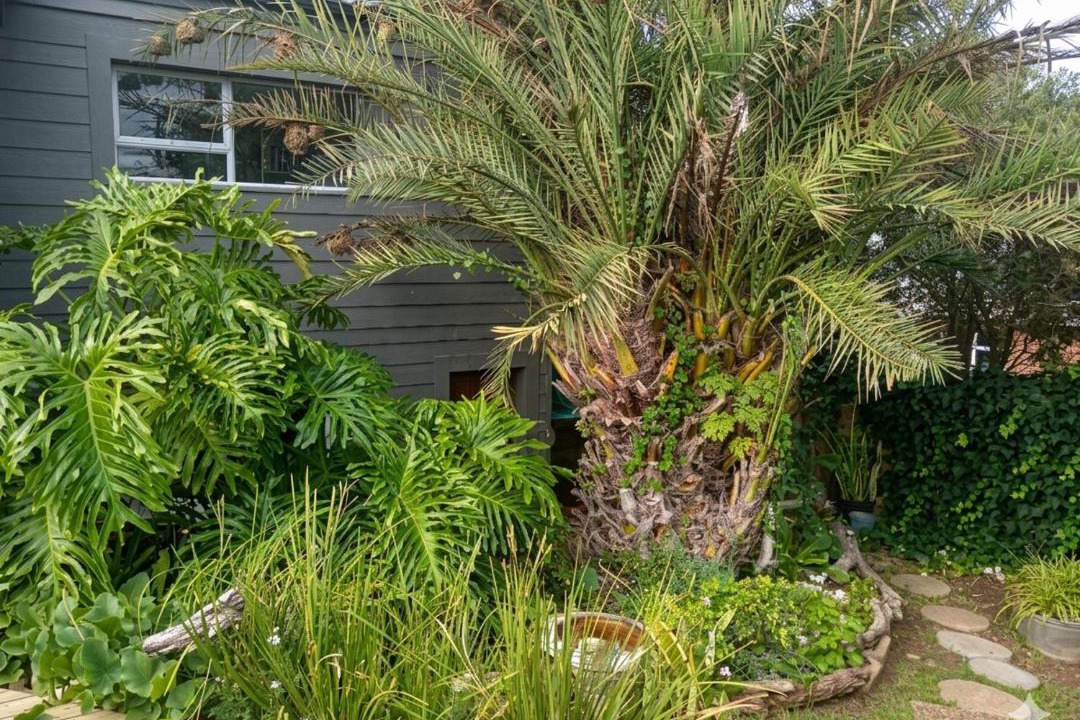 Photo of Outdoor in Still Bay
