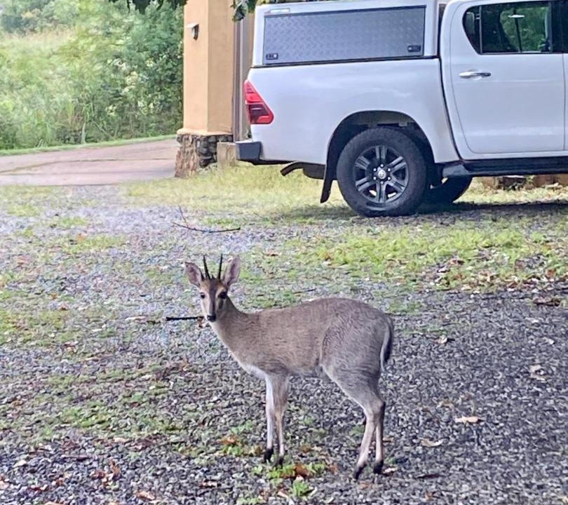 Photo of Others in Cathkin Park