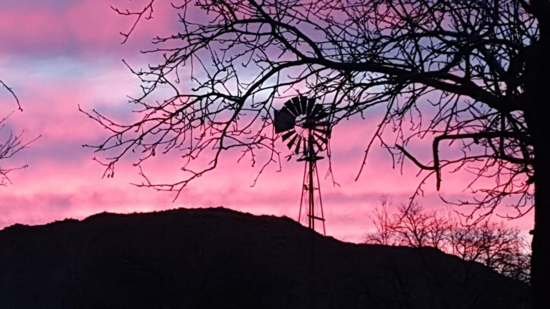 Photo of Others in Nieu-Bethesda