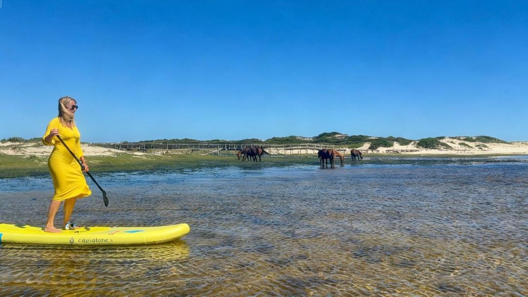Photo of Others in Fisherhaven
