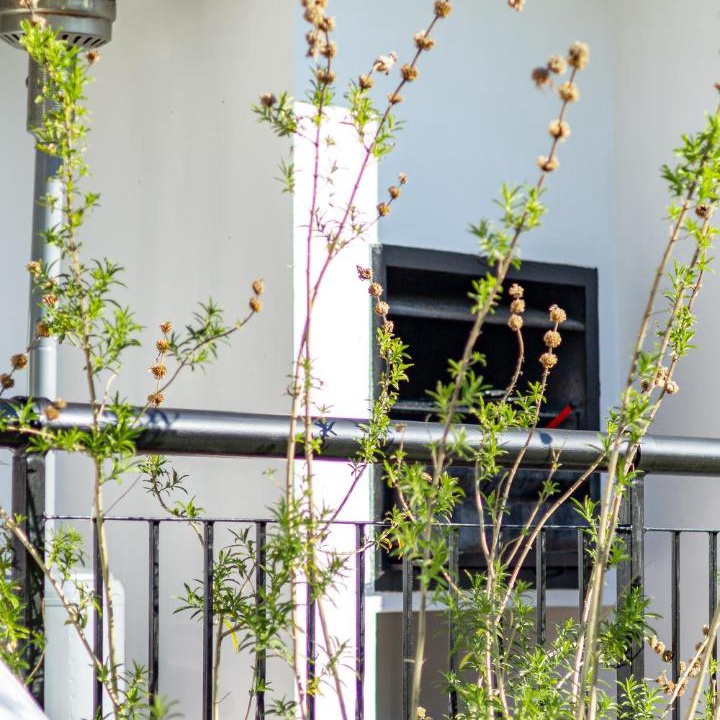 Photo of Others in Stellenbosch
