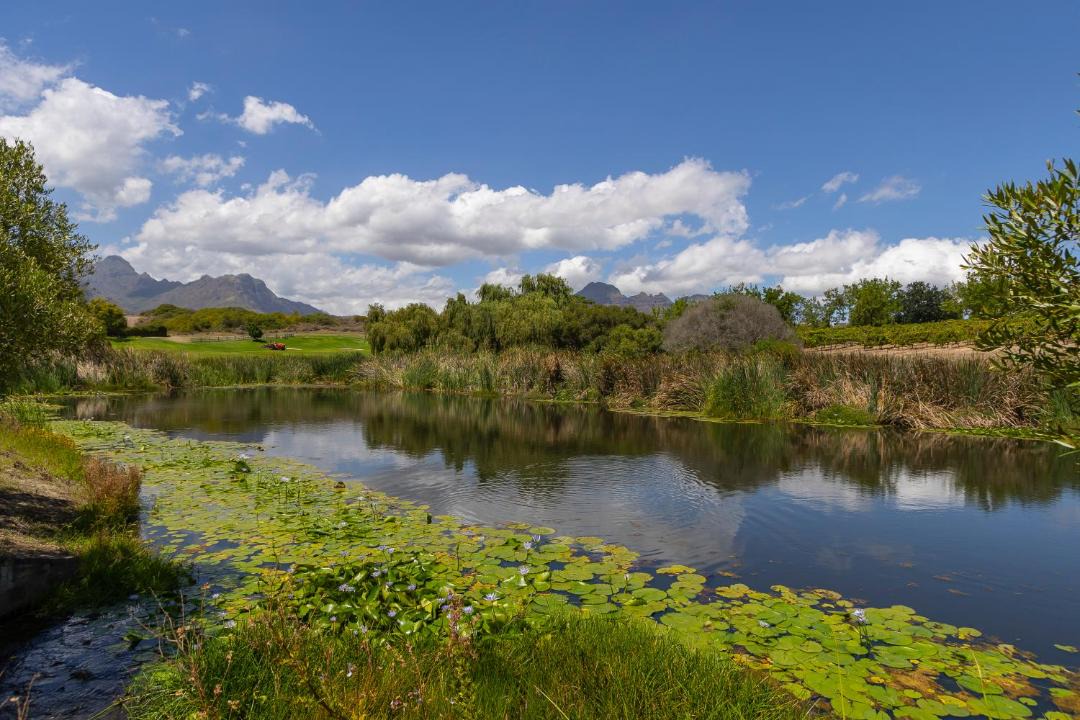 Photo of Others in Stellenbosch