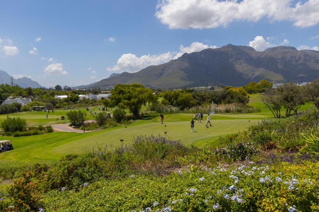 Photo of Others in Stellenbosch