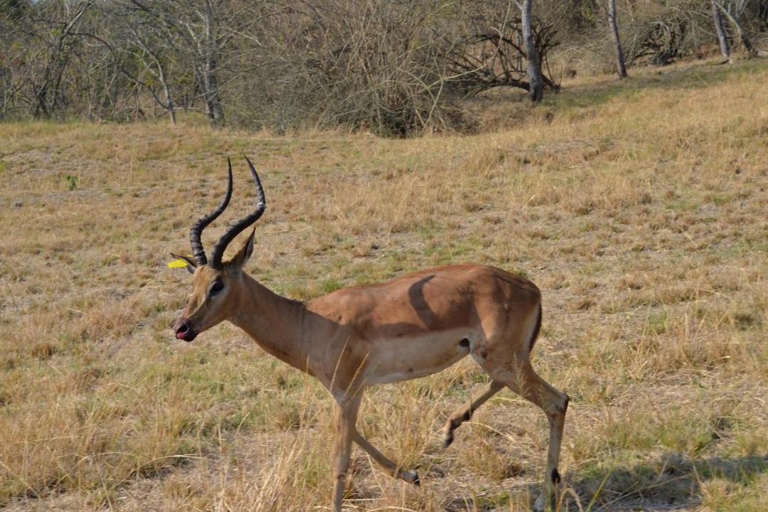 Photo of Others in White River