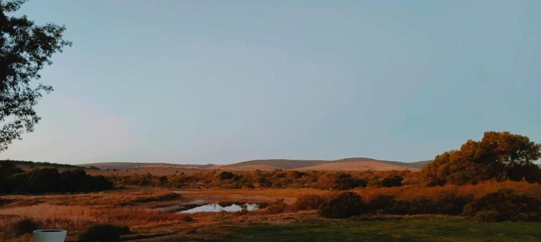 Photo of Others in Yzerfontein