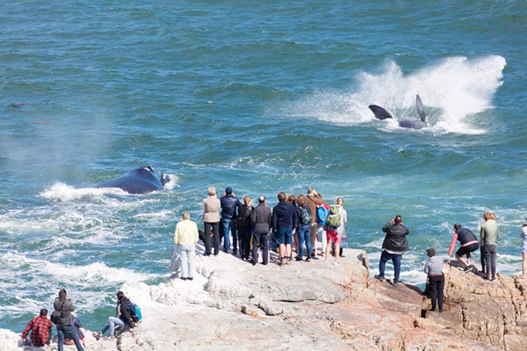 Photo of Others in Westcliff